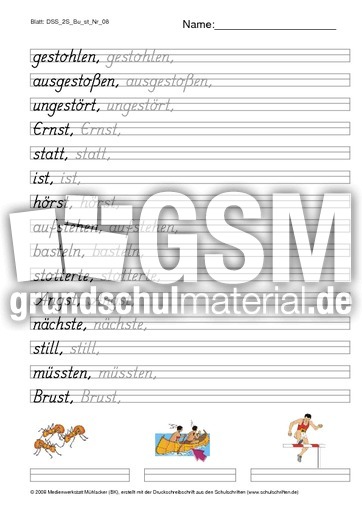 DSS_2S_Bu_st_Nr_08.pdf